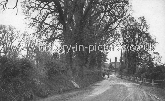 Mill Approach, Writtle, Essex. c.1920's